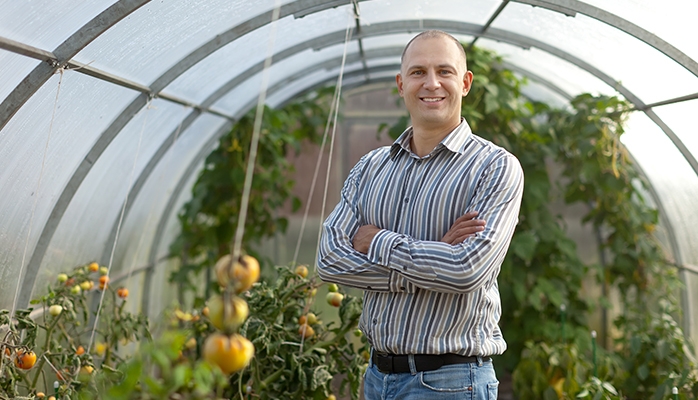 Volte-face : Les tomates bio cultivées sous serre en hiver de nouveau autorisées en France